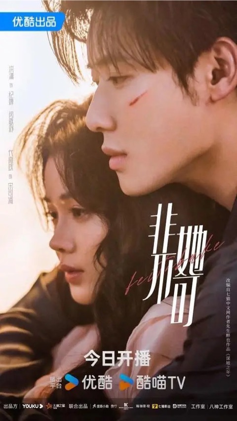非她不可海报